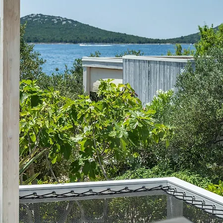 Nautilus Buqez Drage