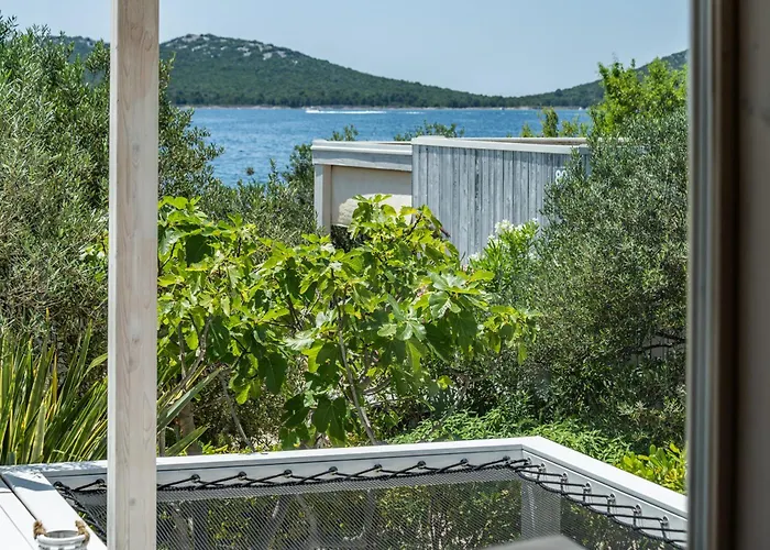 Nautilus Buqez 德拉格